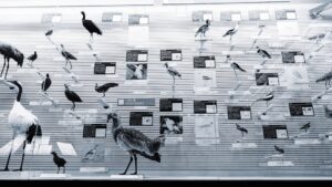 Rola ilustracji w edukacji o przestrzeni miejskiej