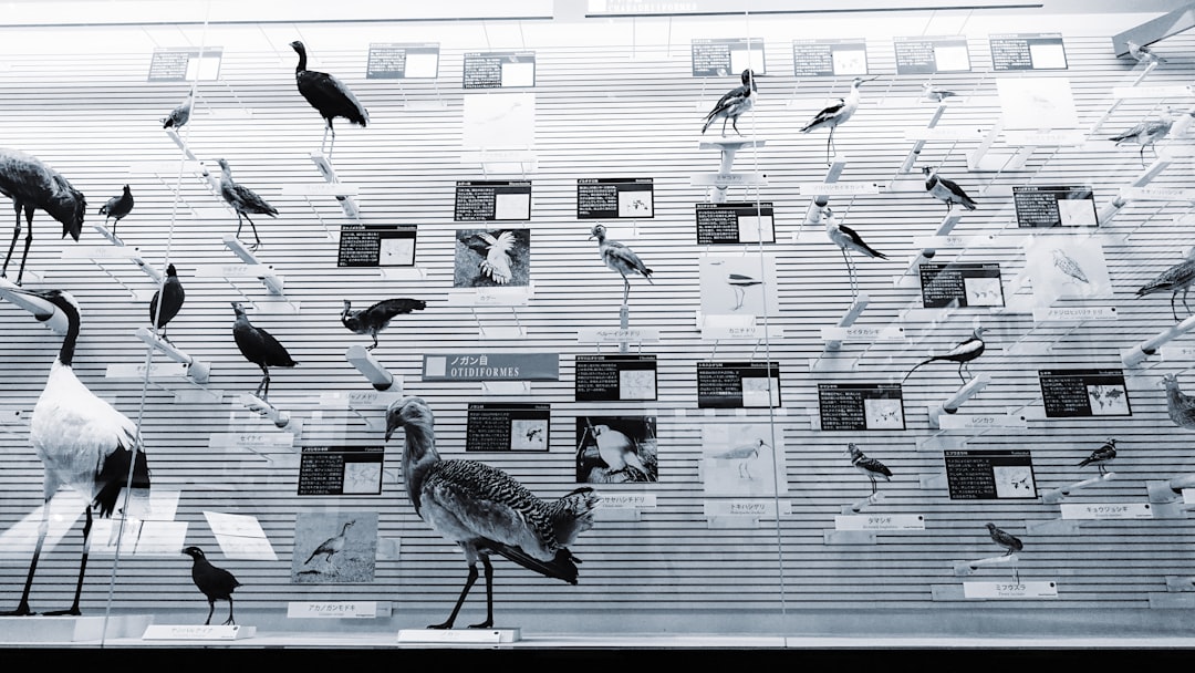 Rola ilustracji w edukacji o przestrzeni miejskiej